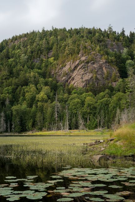 Lush greenery surrounds a tranquil lake beneath a forested hill.