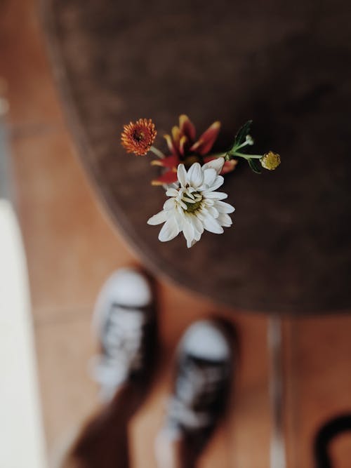 テーブルの上の白いデイジーの花