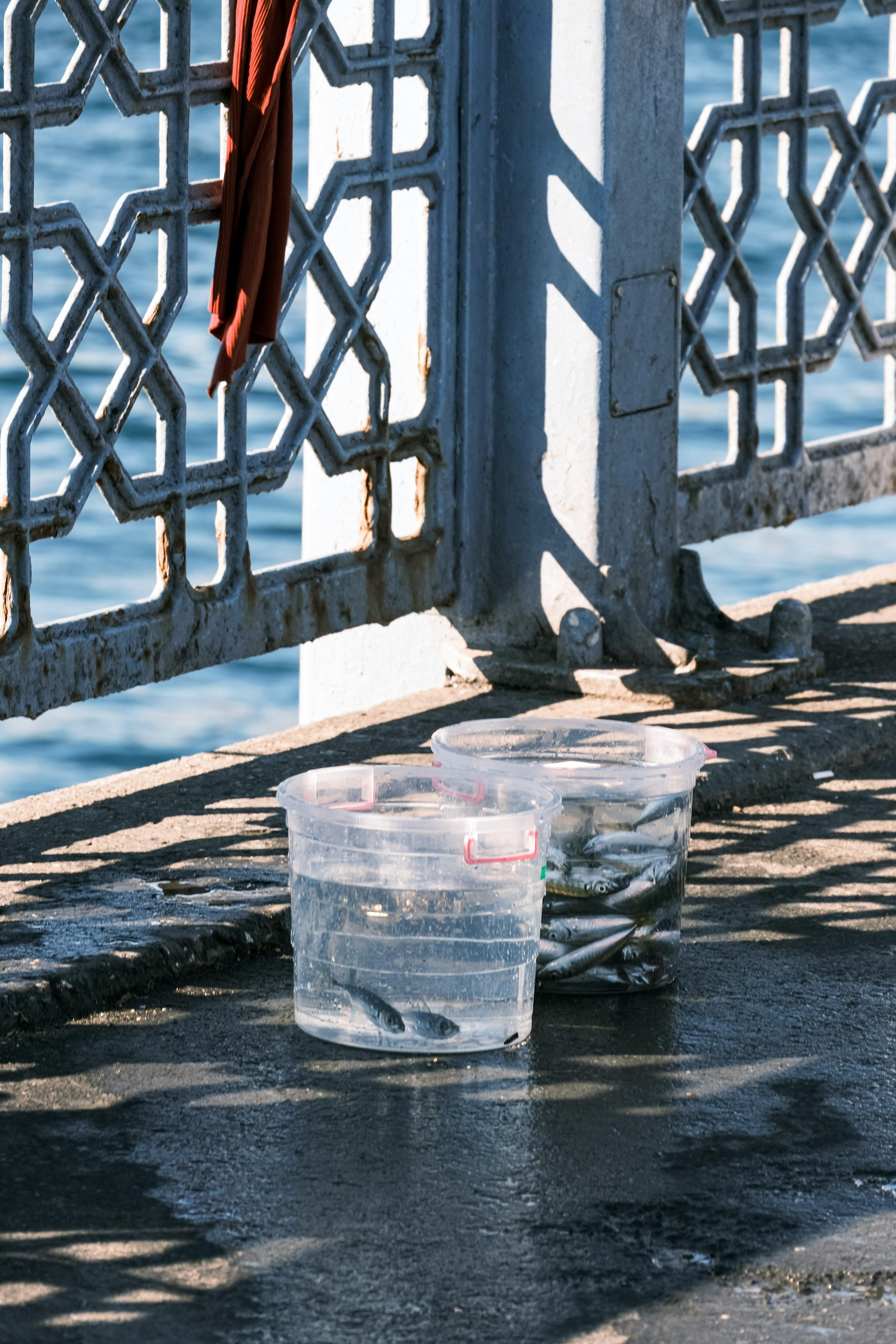 Jenis Ikan Laut yang Cocok untuk Sate Lilit