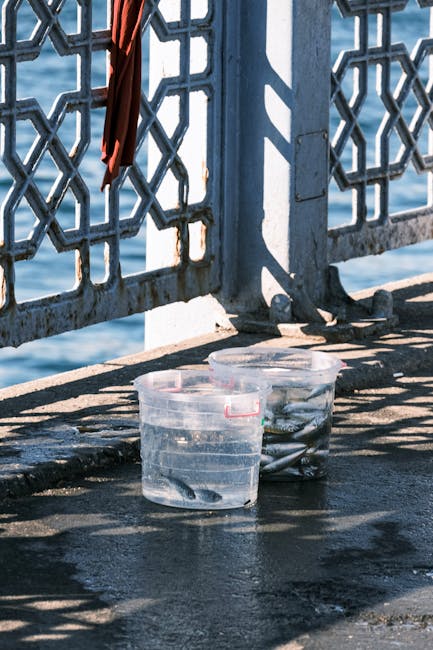 Jenis Ikan Laut yang Cocok untuk Sate Lilit Jenis Ikan Laut yang Cocok untuk Sate Lilit