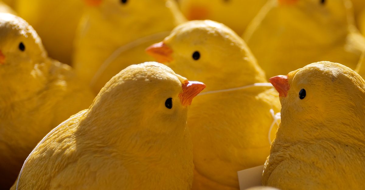 Ancora требует от Big Yellow Group начать оценку продажи компании