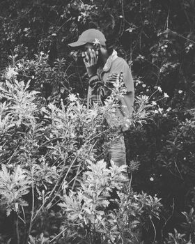 被树叶包围的自然界中的人的单色肖像