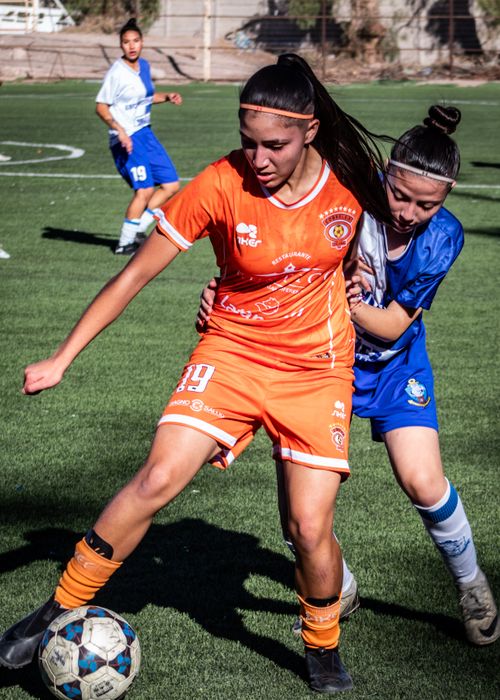 Free Female soccer players compete fiercely during a match on a lush green field in broad daylight. Stock Photo