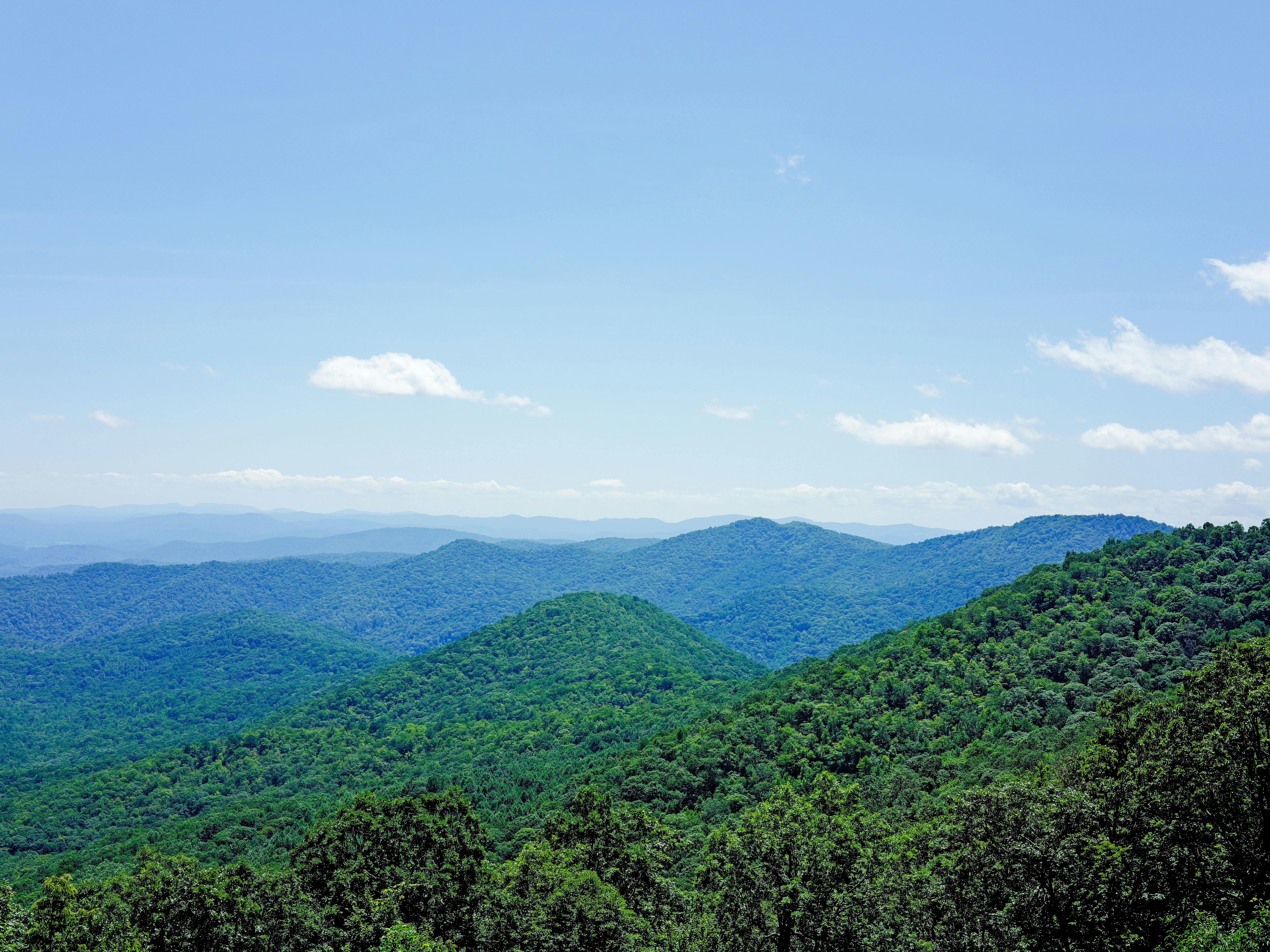 Blue Ridge Bank Promotes Hodges to Chief Human Resources Officer — Photo by R9 Media Photo Collective on Pexels