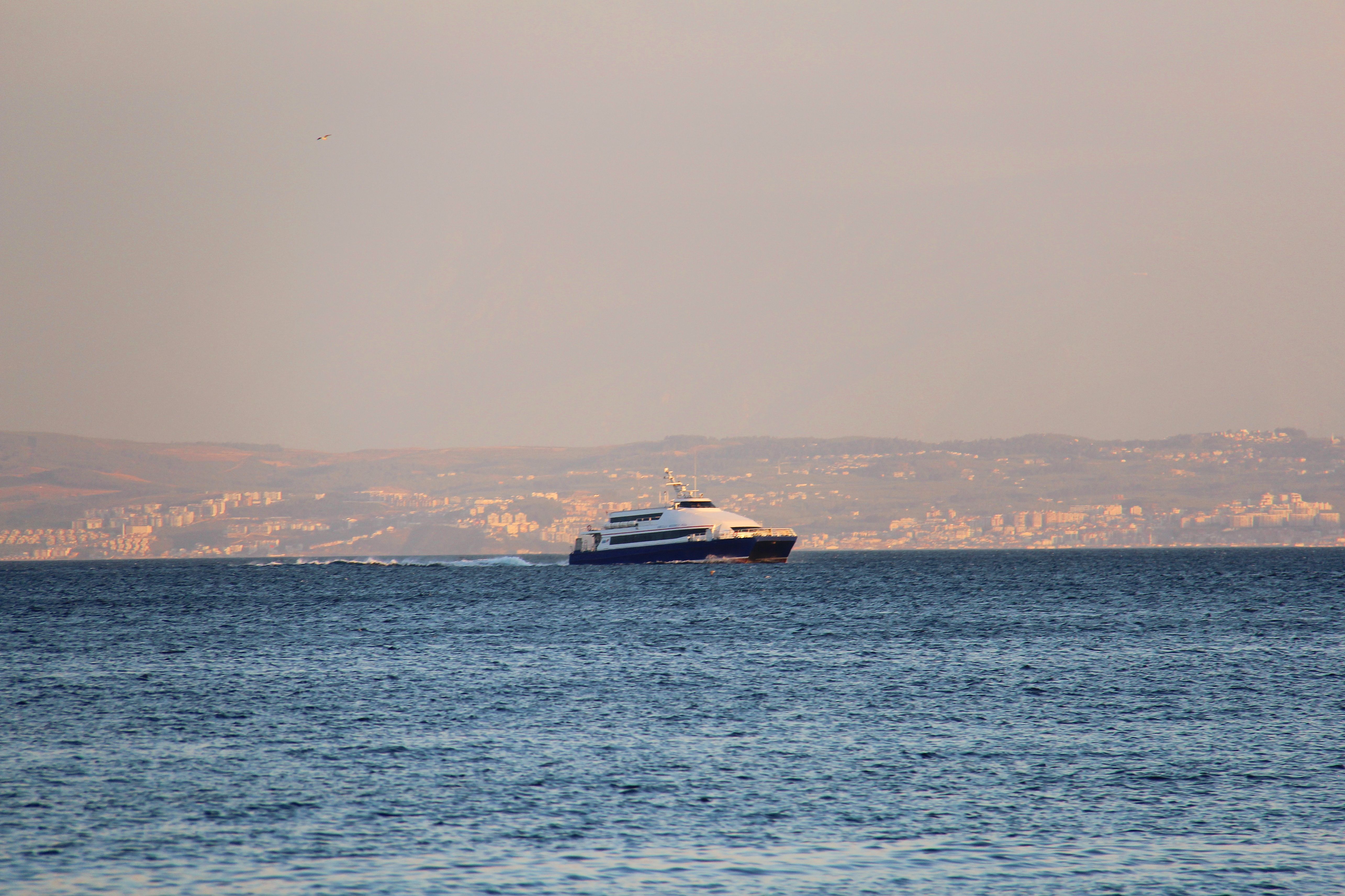 Ferry Traveling on Calm Water with City Skyline