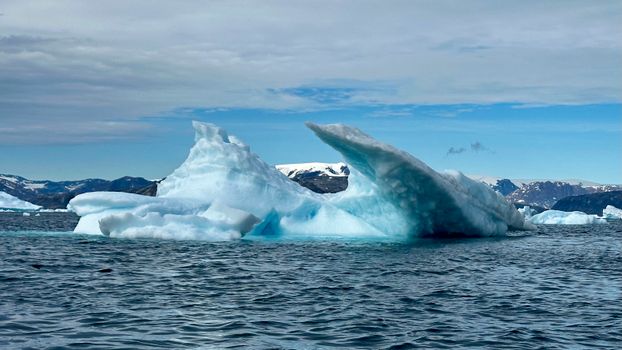 Humpback whale boat (summer) — Greenland