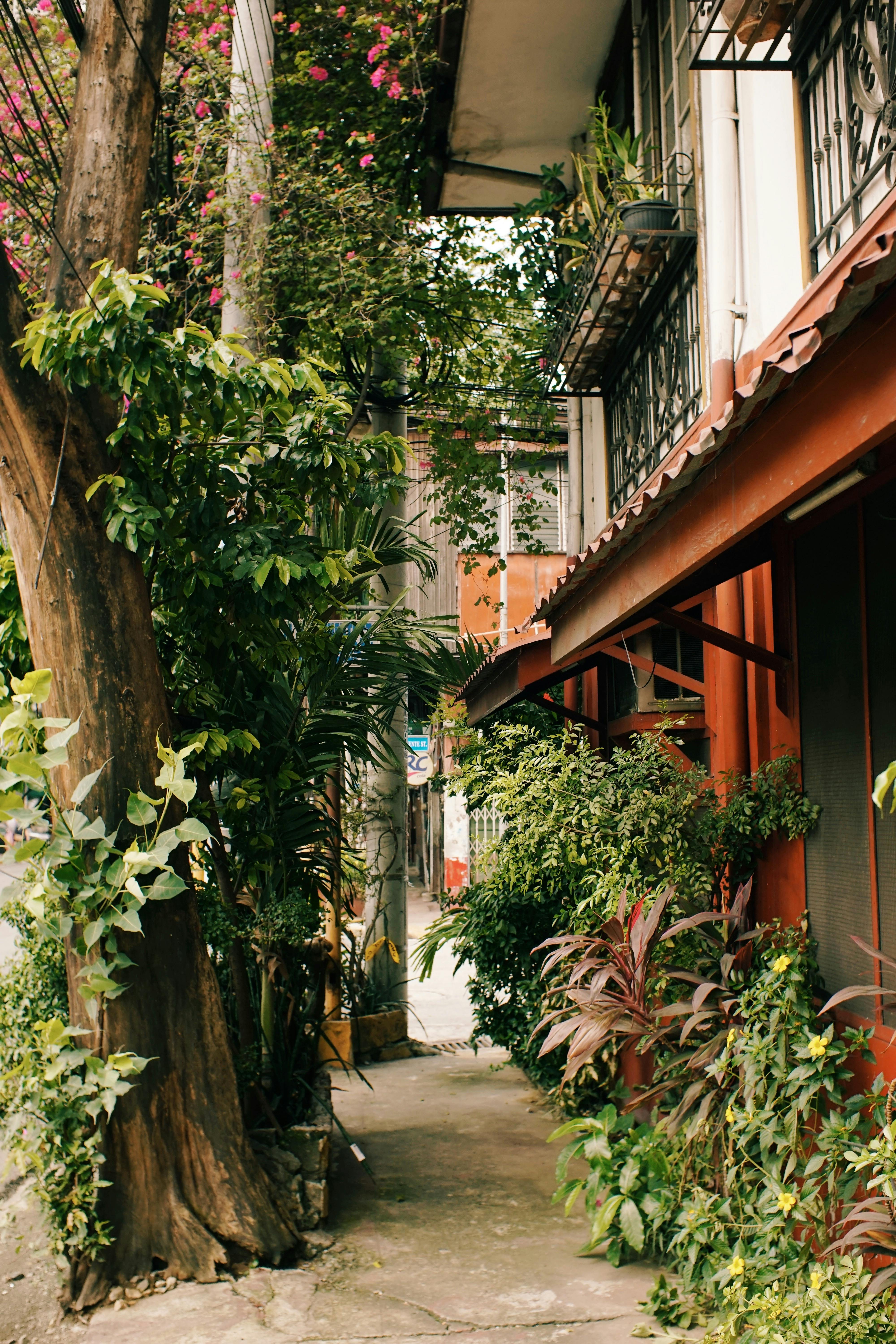 Urban alley with lush plants and colorful flowers, creating a serene and natural environment.