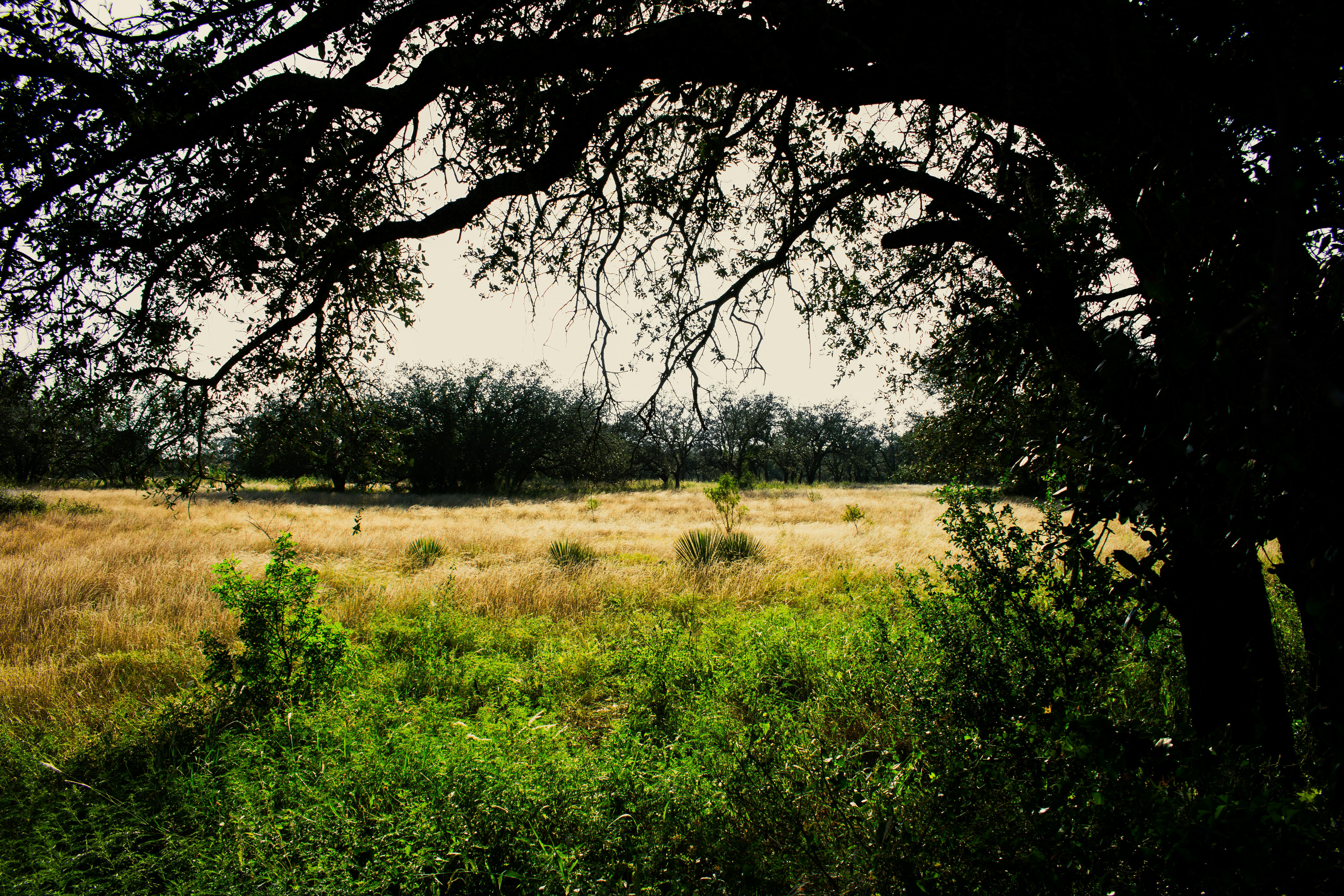 Creative Ways to Make Vegetables Appealing to Toddlers