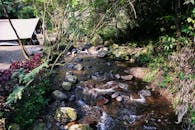 Tranquil Forest Stream with Camping Tent