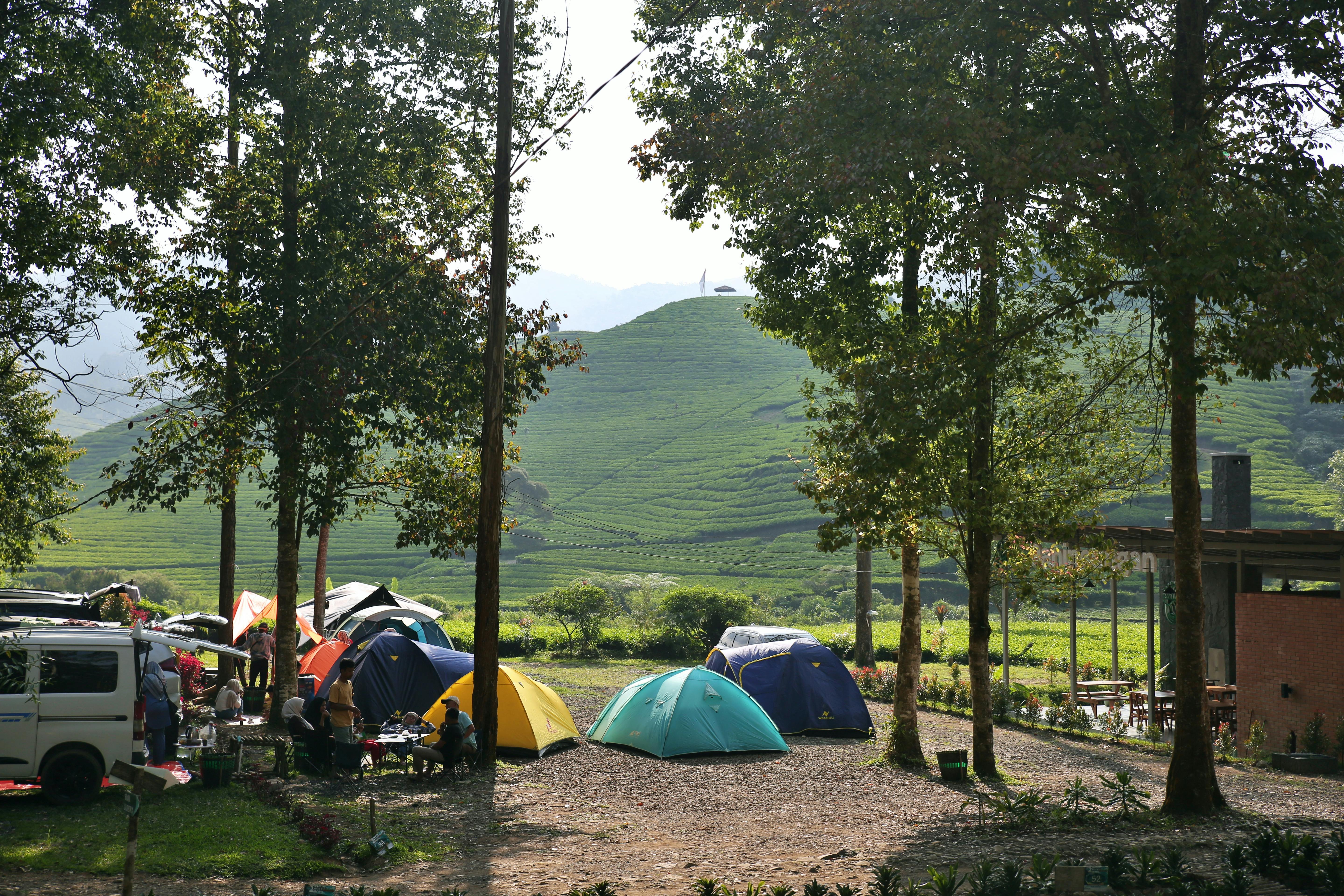These 5 family travel base camps offer adventure and relaxation — Photo by Heru Dharma on Pexels
