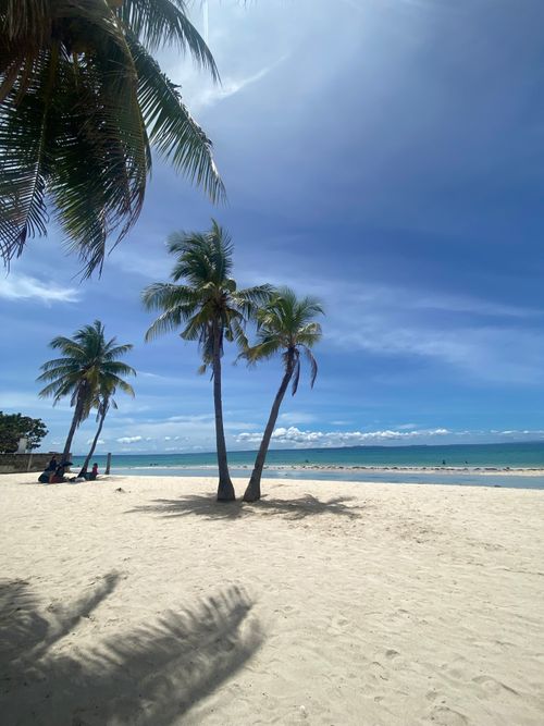 Free Serene tropical beach scene in Central Visayas, Philippines with palm trees and clear blue sky. Stock Photo