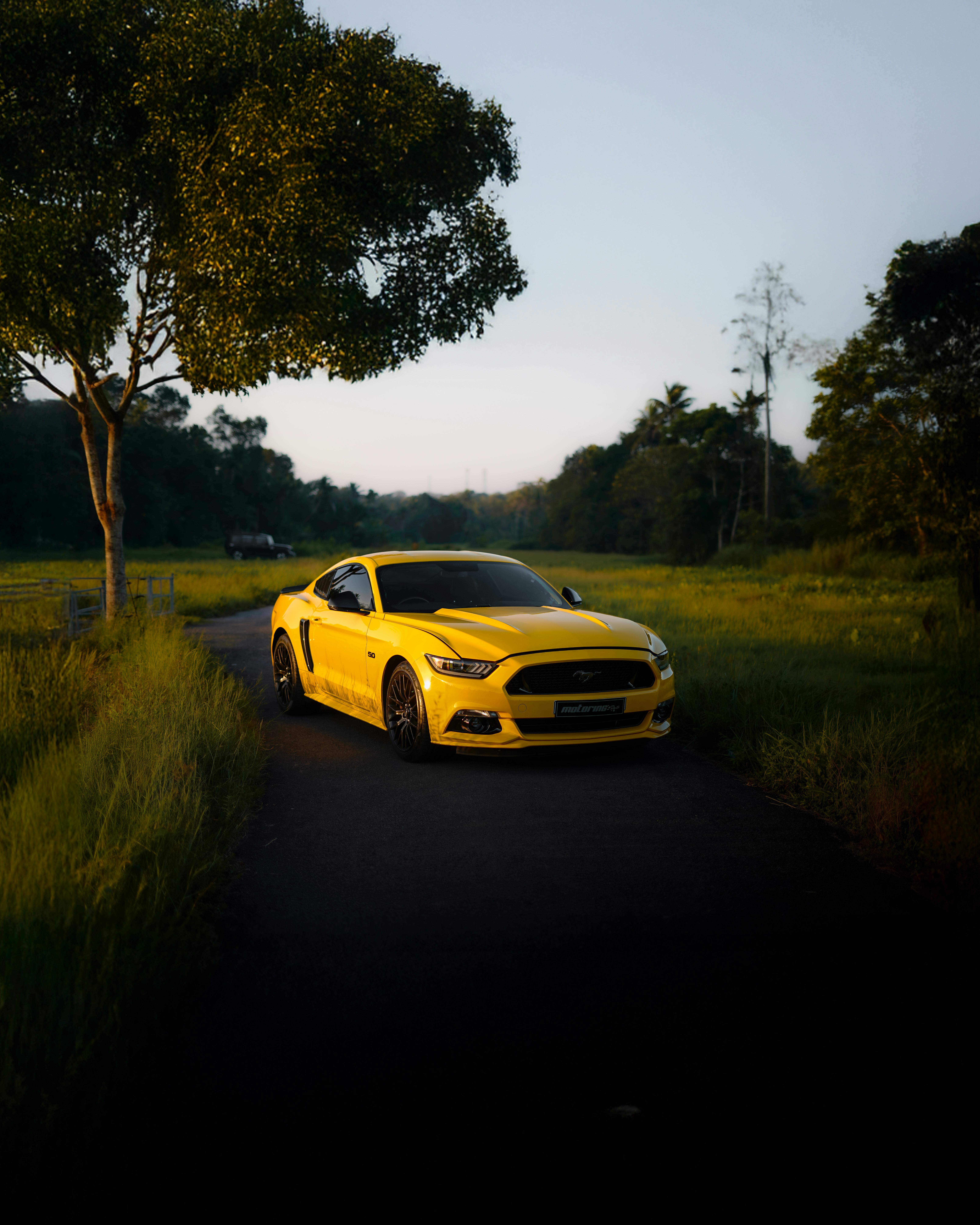 A yellow sports car parked on a rural road surrounded by green fields at sunset.