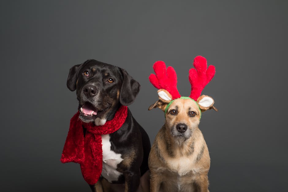 Tan and Black Dogs