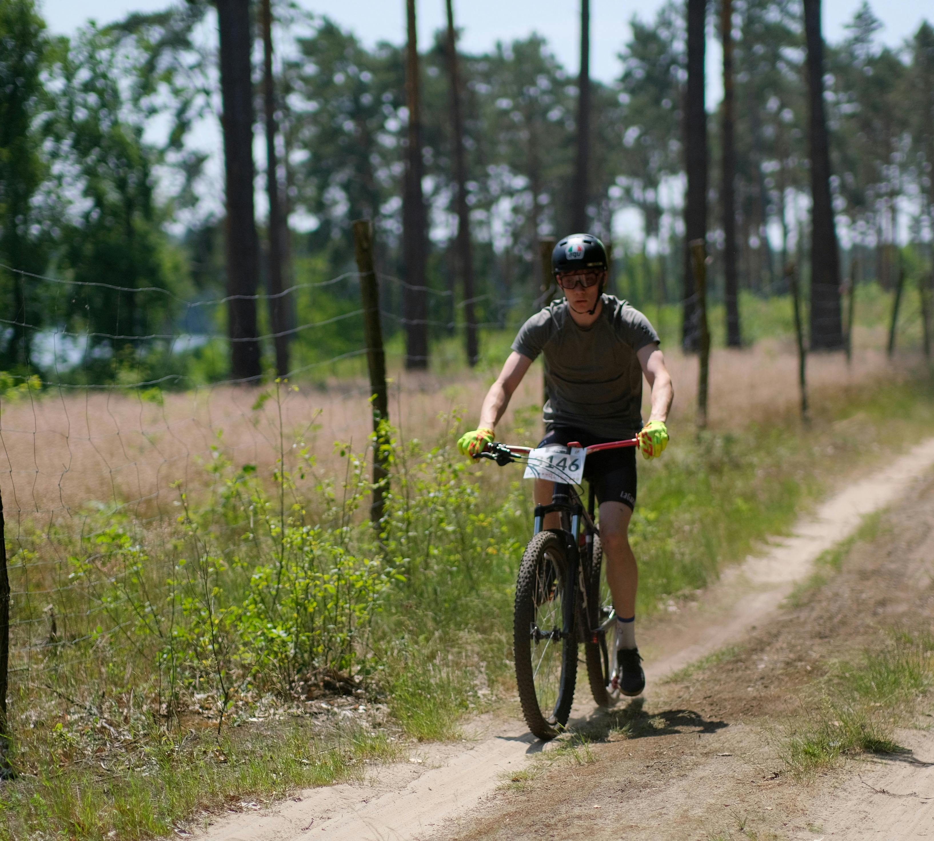 Mountain biker riding through a forest trail on a sunny day, capturing the thrill of outdoor adventure.