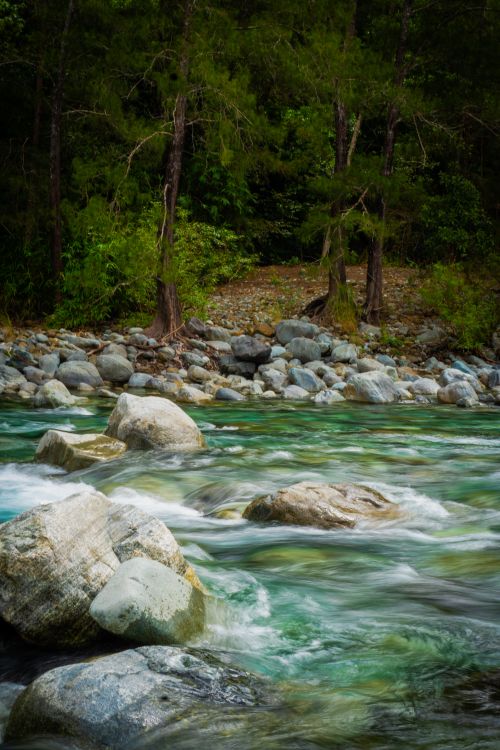Free Gently flowing river through lush Masinloc forest, Central Luzon, Philippines. Stock Photo