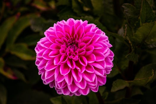 Image by Siegfried Poepperl