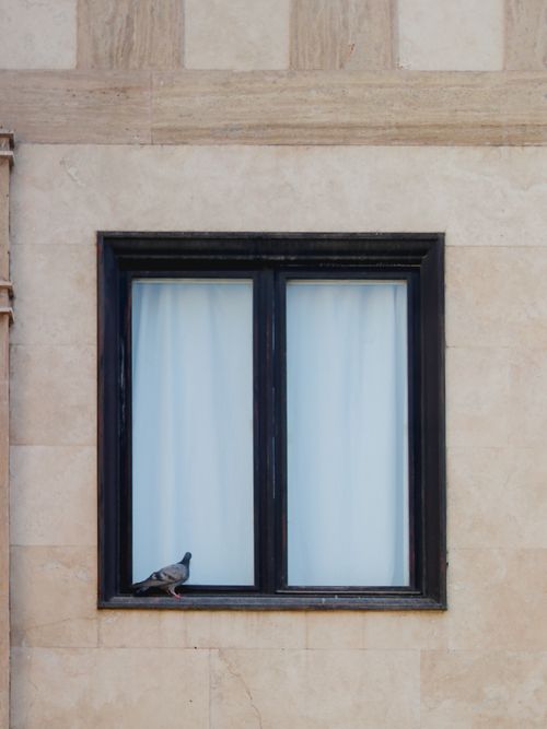 Free A single pigeon sits on the sill of a classic stone building window, adding a touch of life to the urban scene. Stock Photo
