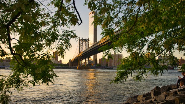 Sunset view of the Manhattan Bridge framed by green foliage over the East River.
