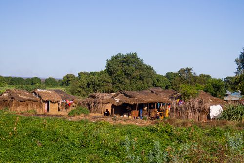 Free Explore the rustic charm of traditional Madagascar huts in Ankililoaka village, surrounded by lush greenery. Stock Photo