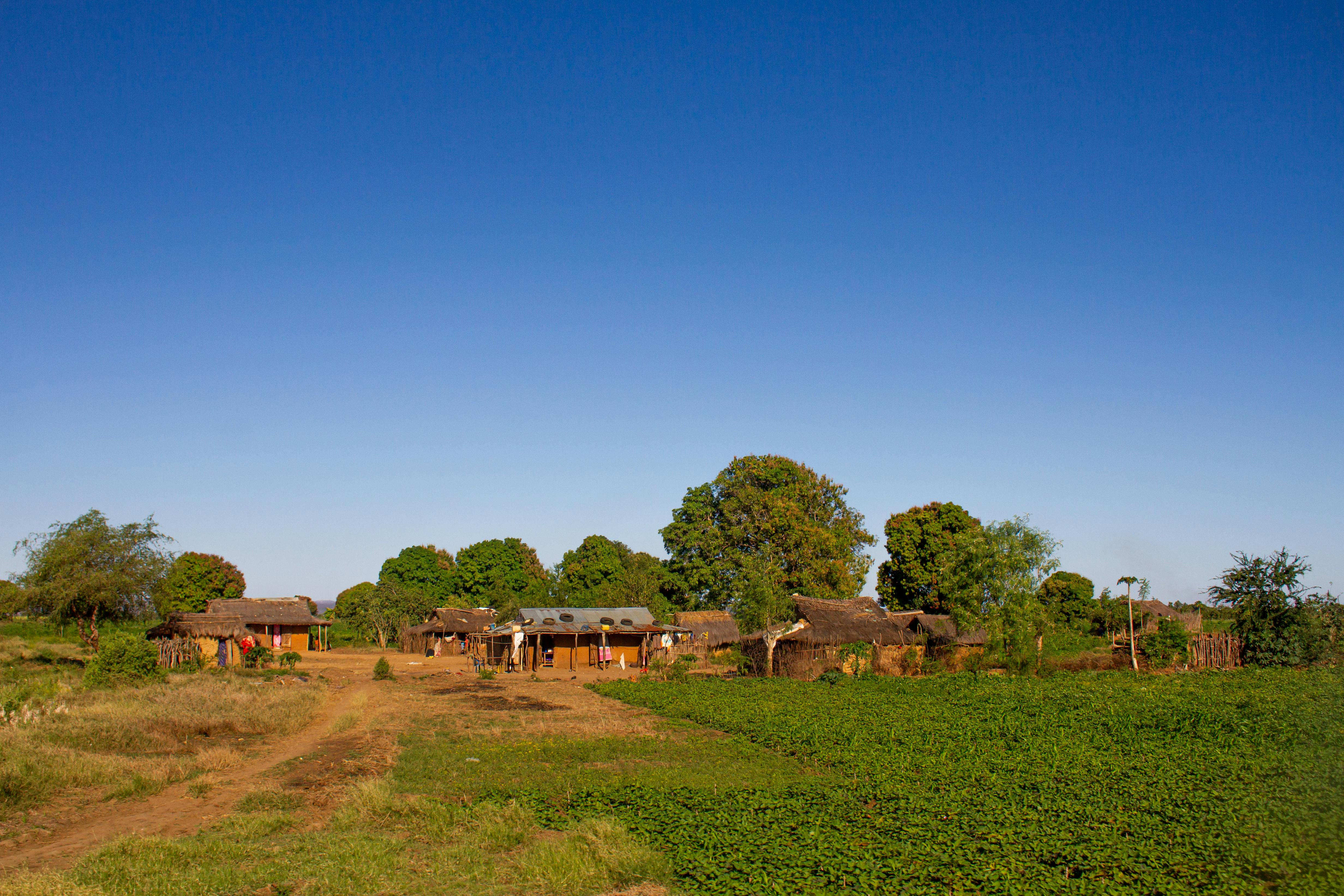 Explore the serene beauty of a traditional rural village in Ankililoaka, Madagascar.