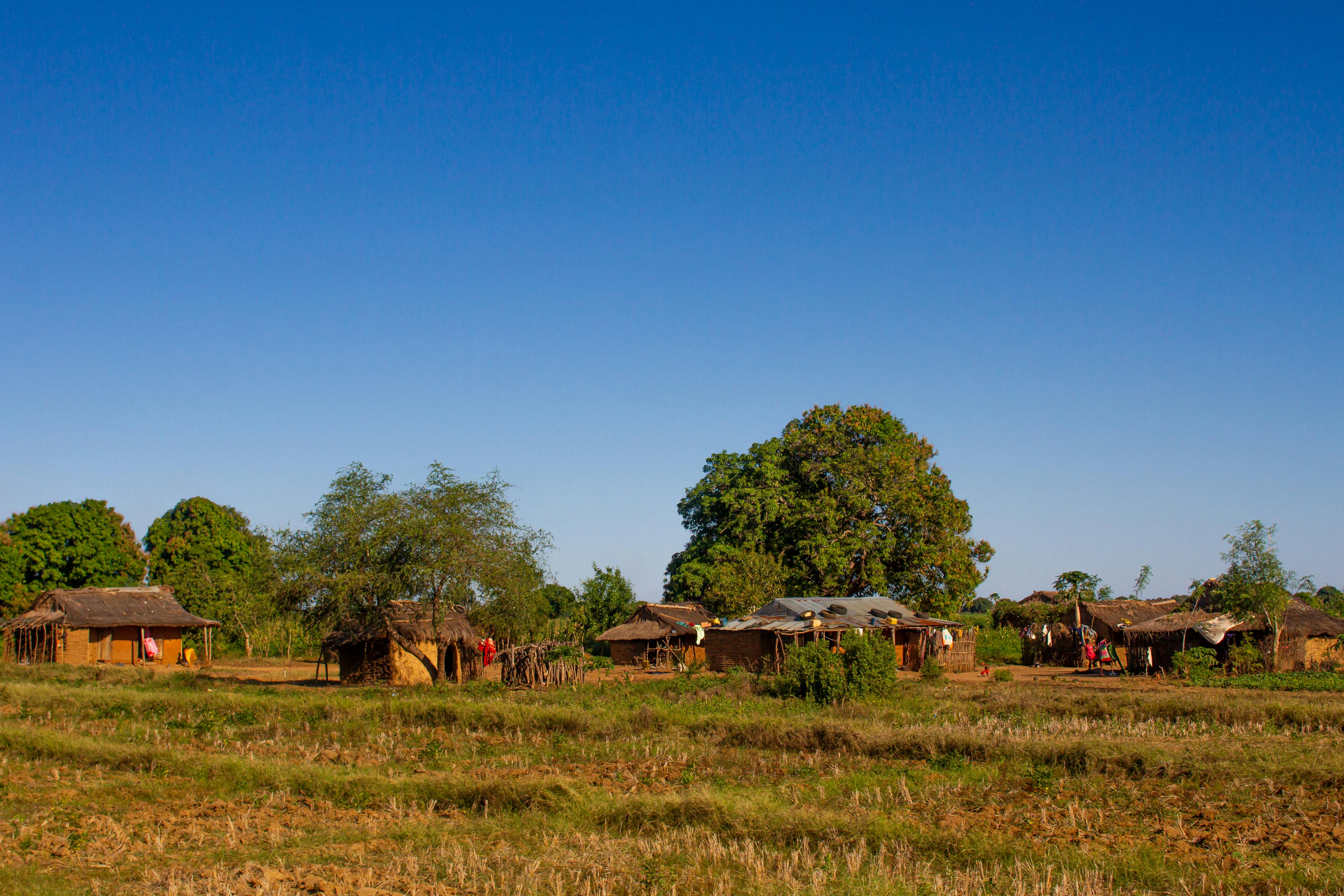 Charming rural landscape showcasing traditional houses in Ankililoaka, Madagascar.