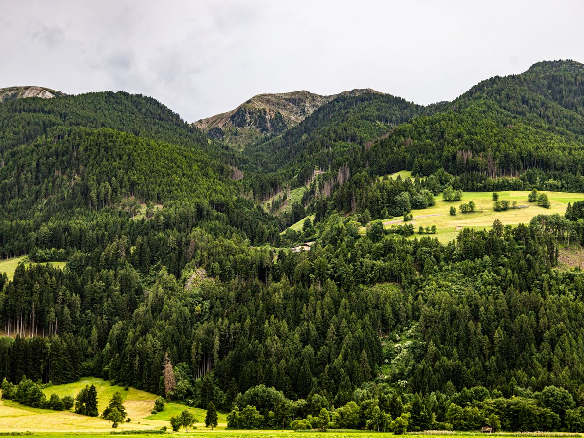 5 Day Chakra-Based Hatha Yoga Retreat in Austria 2