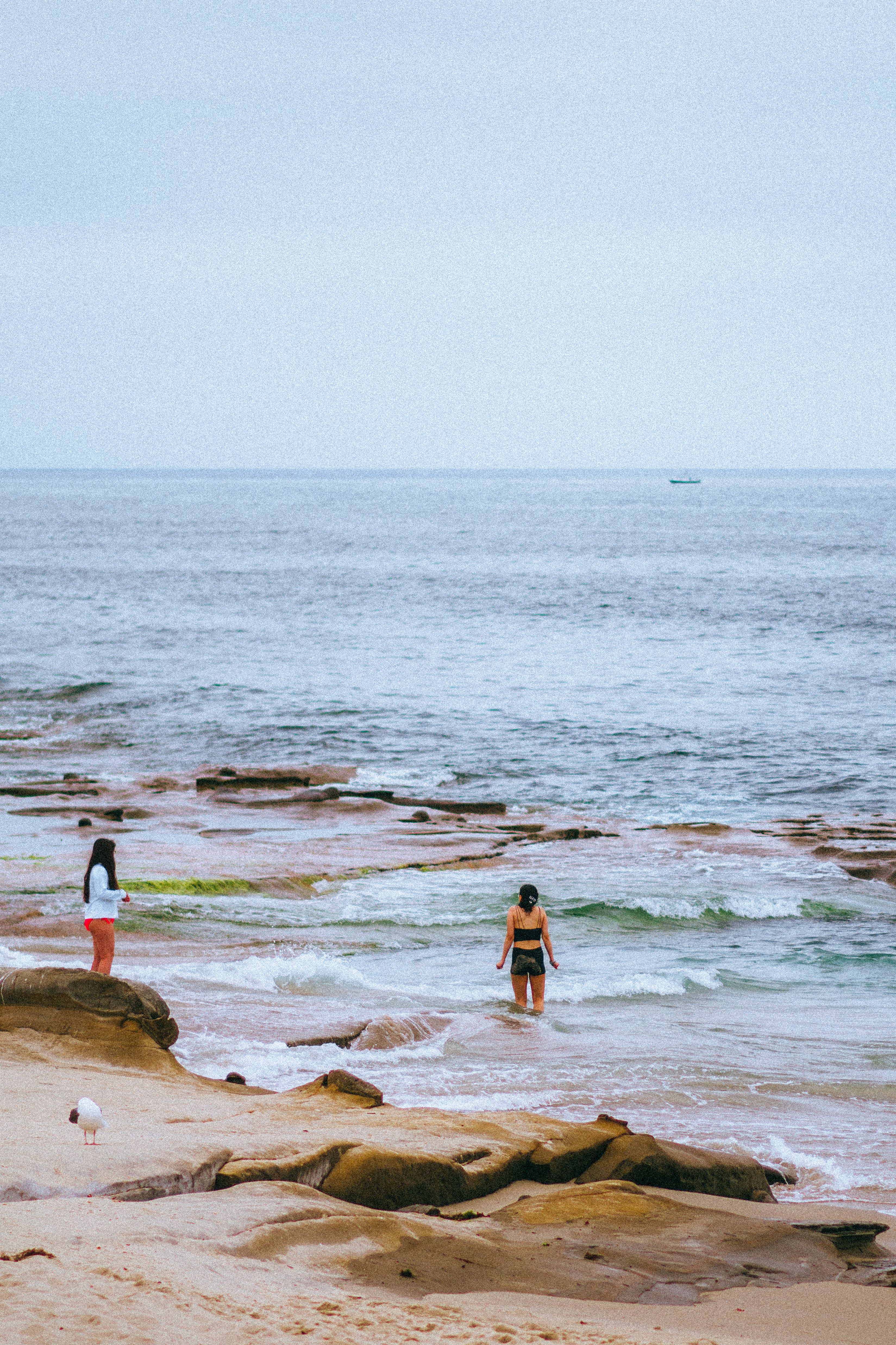 The beach and coastline at La Jolla Shores in San Diego on a clear day