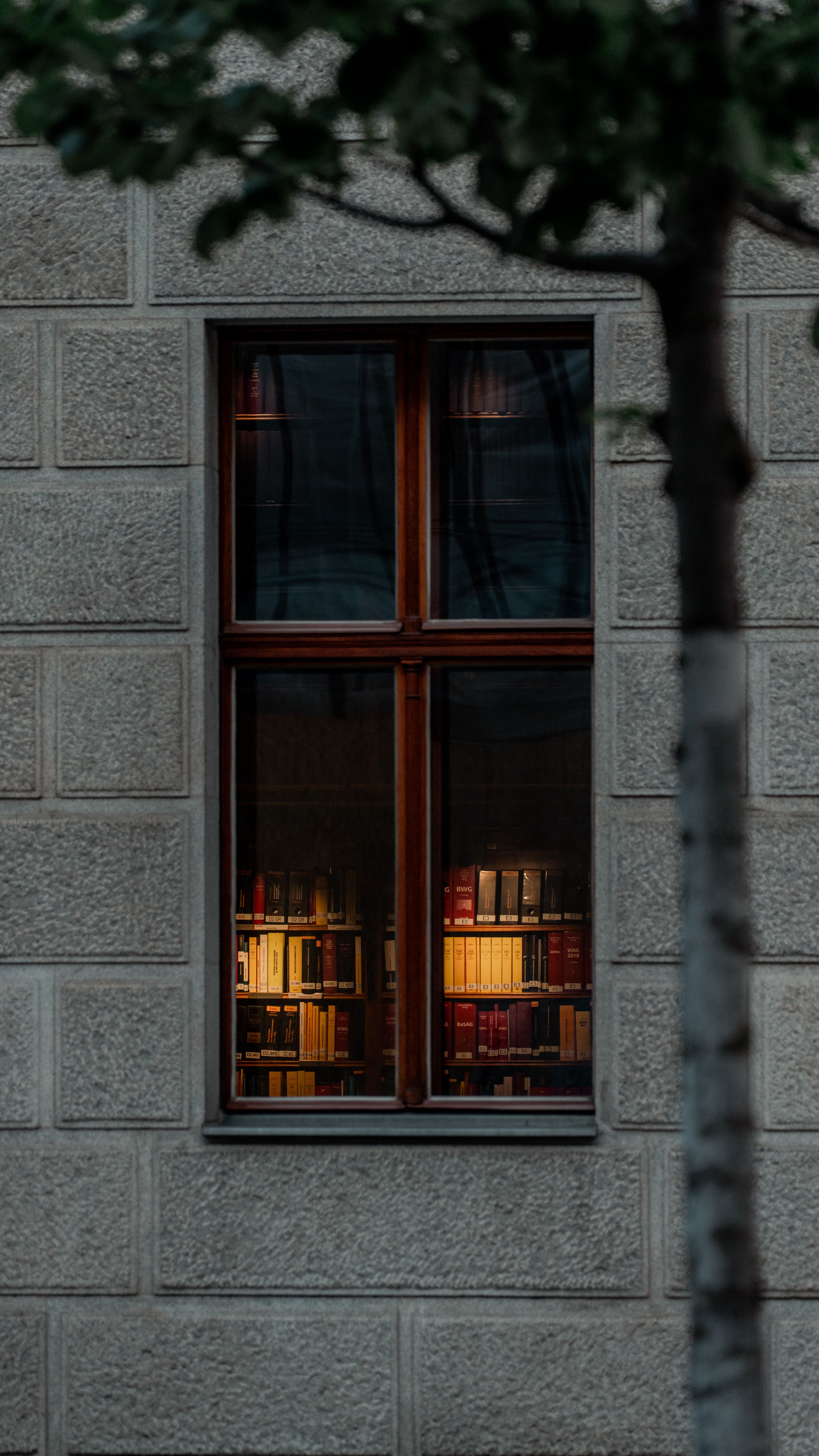 Window And Knowledge Photos, Download The BEST Free Window And ...