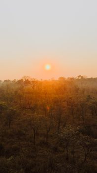 Golden sunrise illuminating the savanna landscape in South Africa with misty morning light.