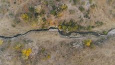 A scenic aerial view capturing the flowing creek through the dry landscape of South Africa with vivid autumn hues.