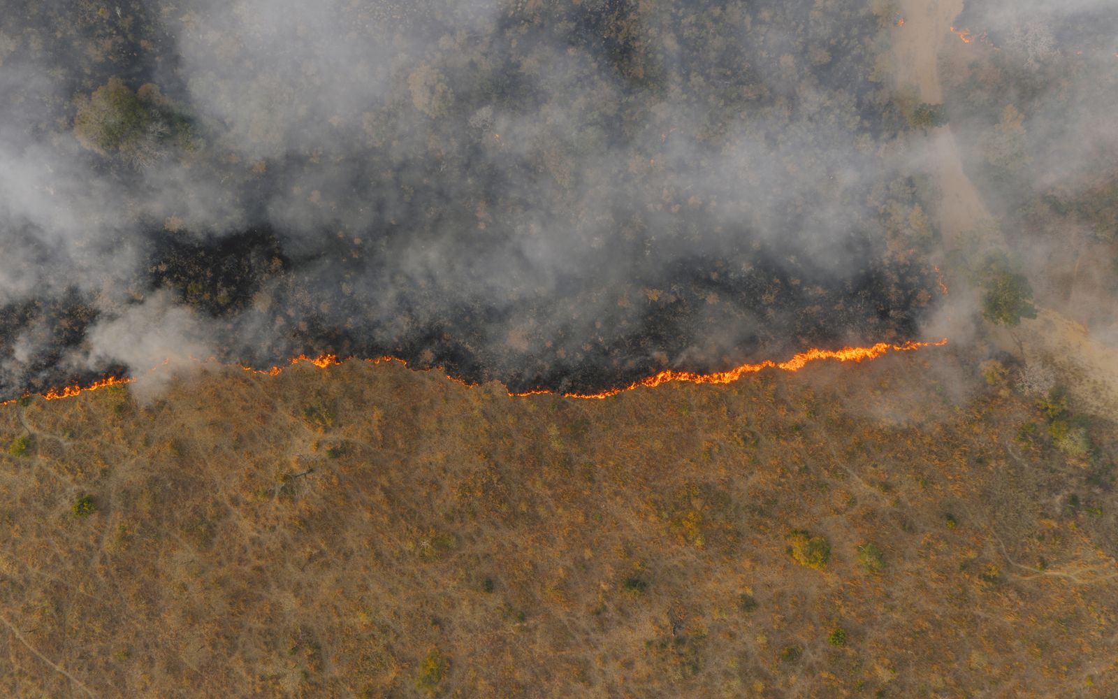 Aerial view of a wildfire spreading across dry grassland