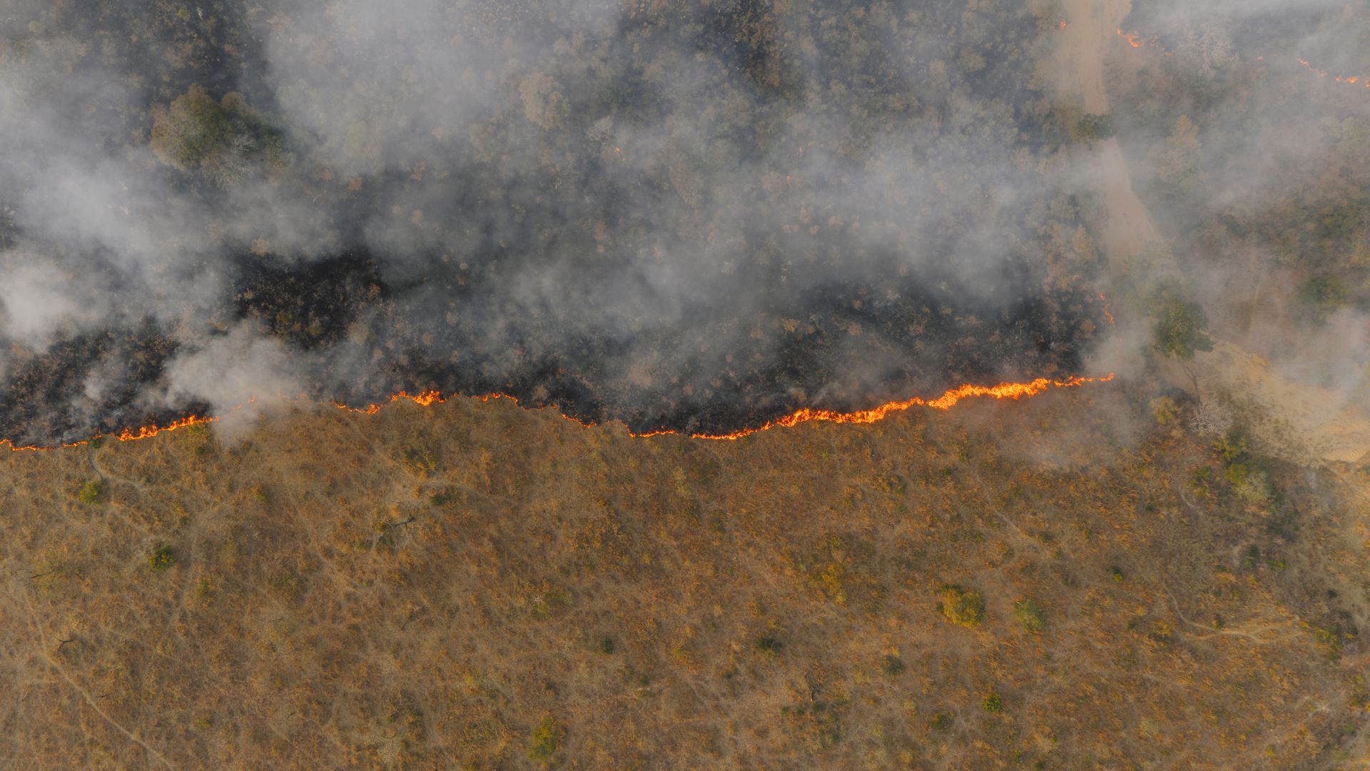 Charred hillside landscape with smoke haze after wildfires in Spain