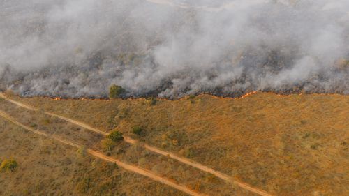 Free An aerial shot showing a wildfire burning through grasslands in South Africa, with smoke rising above the landscape. Stock Photo