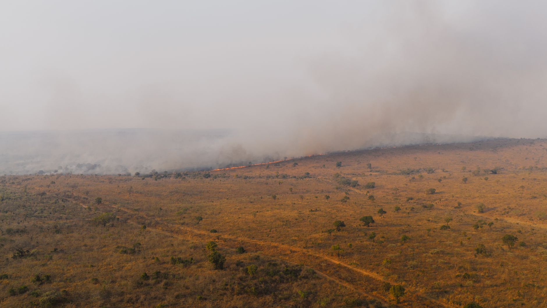 Aerial photograph capturing a vast wildfire spreading through the savanna landscape of South Africa.