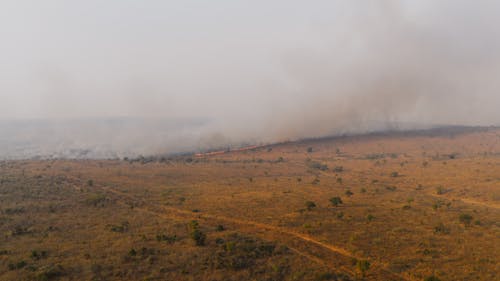 2025 vs History: Tracking The Year’s Fiercest Wildfires