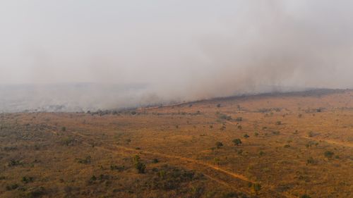 Free Aerial photograph capturing a vast wildfire spreading through the savanna landscape of South Africa. Stock Photo