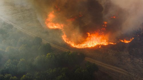 Free Aerial shot of a wildfire raging through a forest in Mpumalanga, South Africa. Stock Photo
