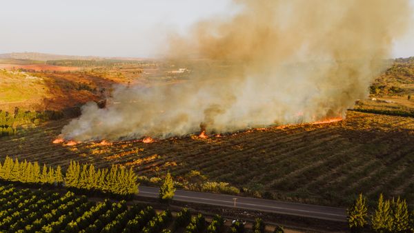 Aerial view of a controlled burn on farmland