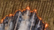 A dramatic aerial view showcasing a fire spreading across a dry agricultural field in Mpumalanga, South Africa.