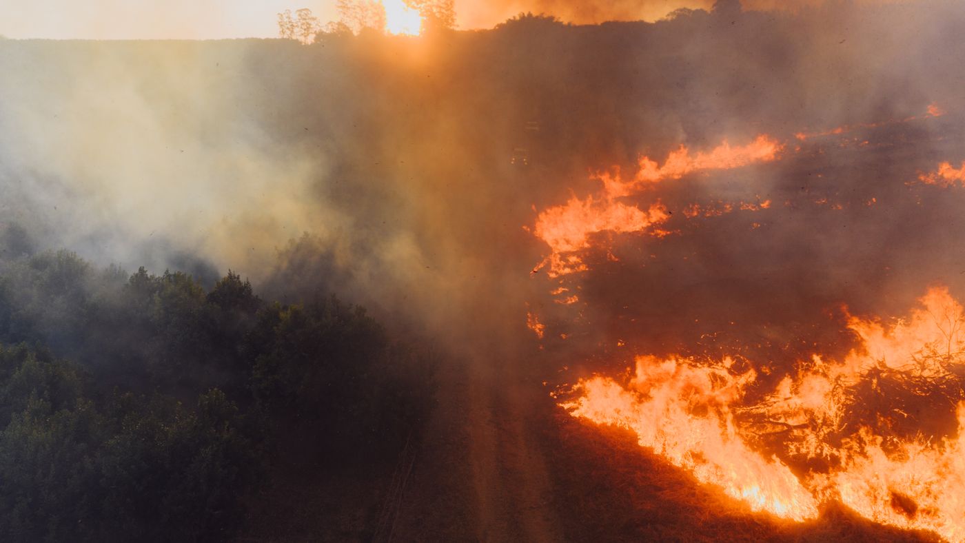 Vue aérienne d'un feu de forêt avec flammes et fumée au coucher du soleil