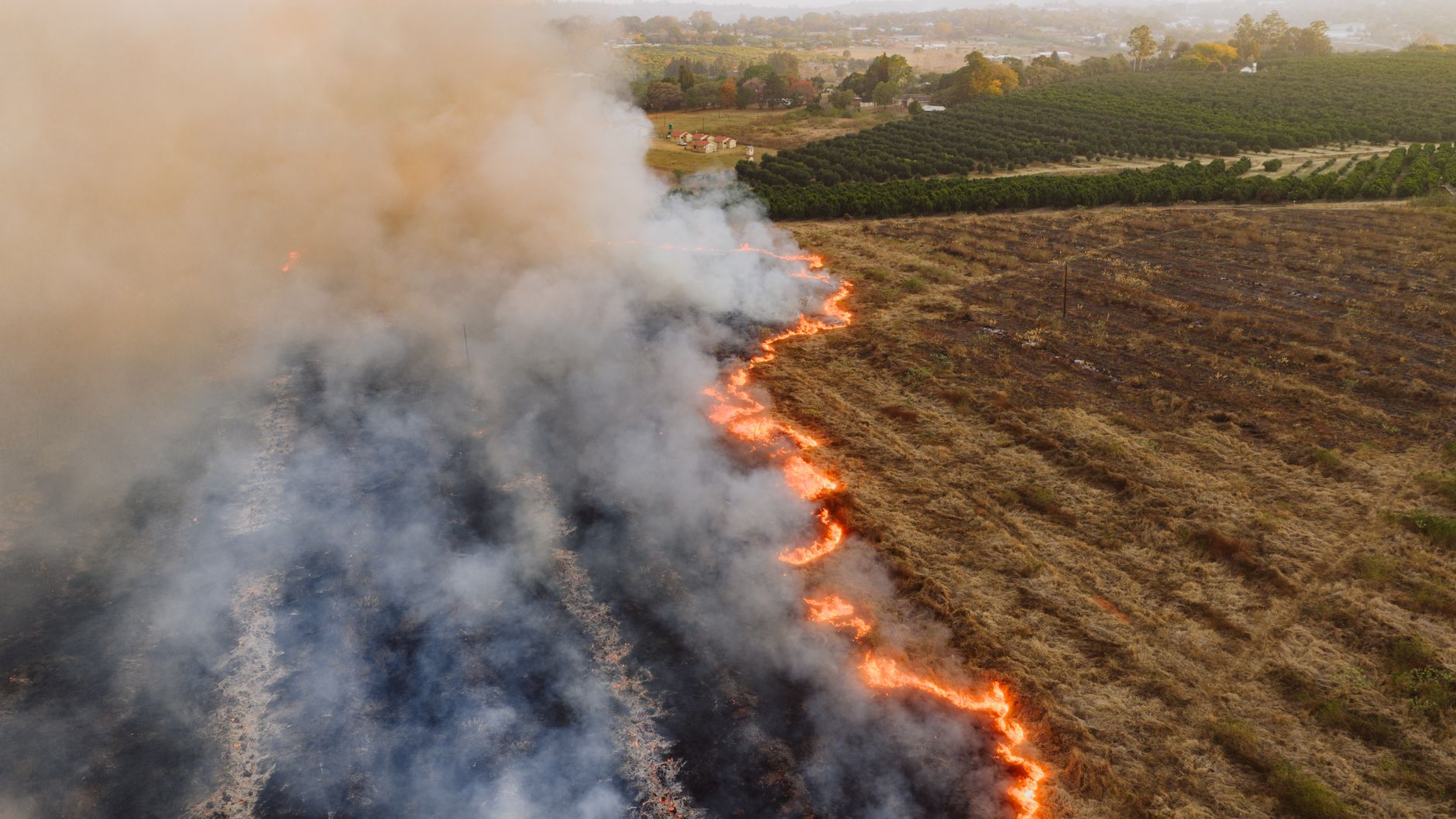 Incendies agricoles : comment les fermiers gèrent le risque de feu