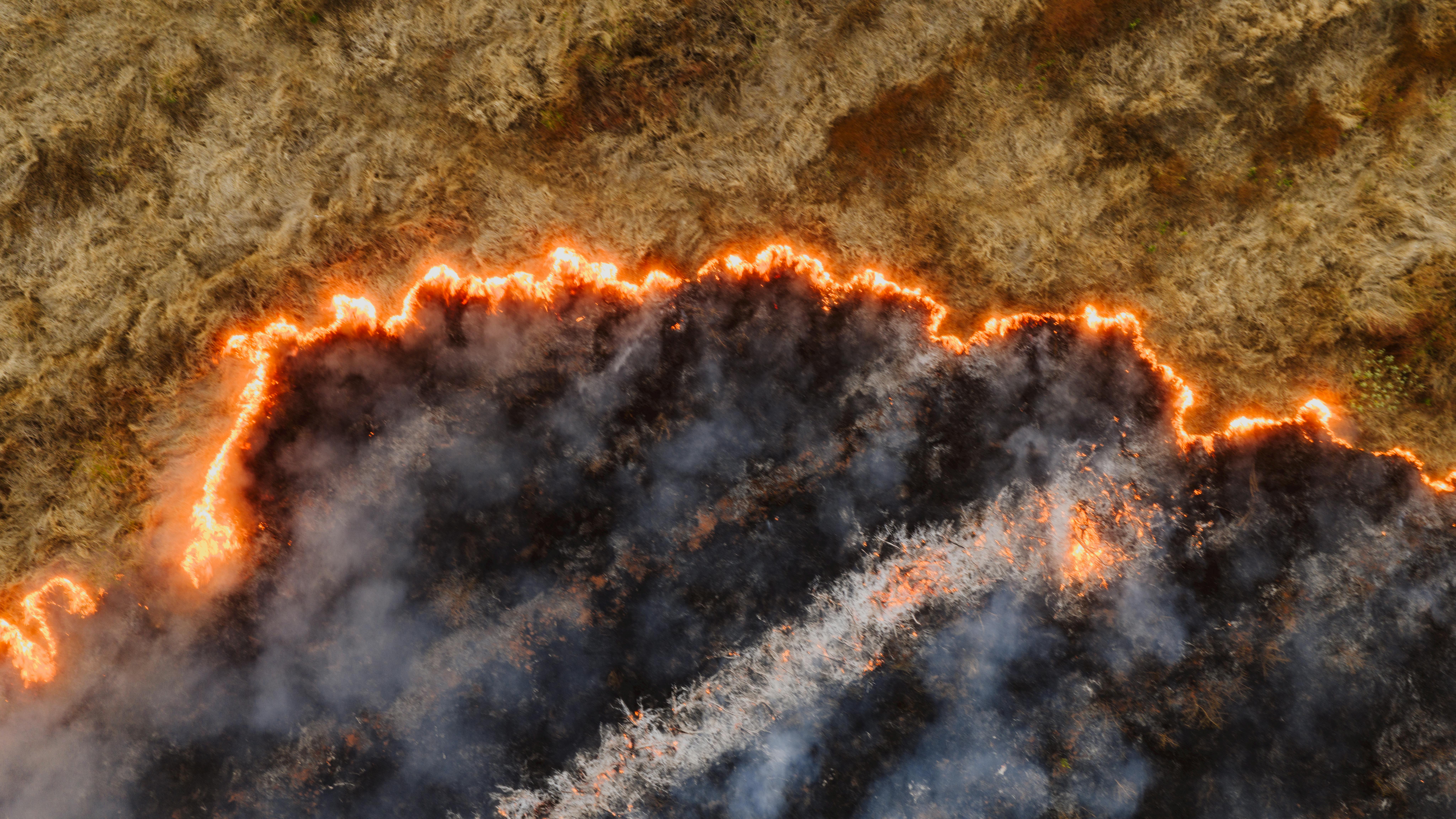 出席東京都綜合防災演習 新北消防隊汲取國際寶貴經驗
