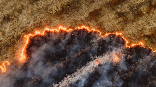 Fall Wildfire Prevention Tips for Homeowners