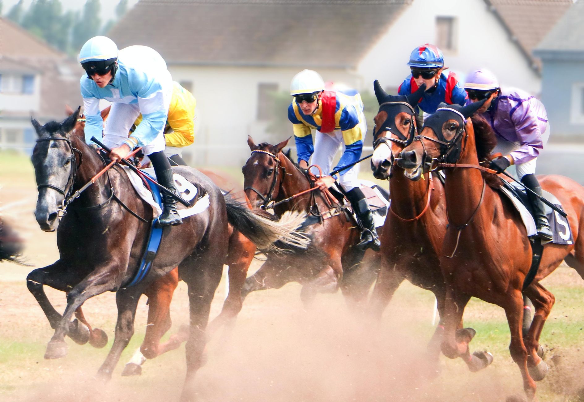 Neef Bram Chardon wint wedstrijd in Harich