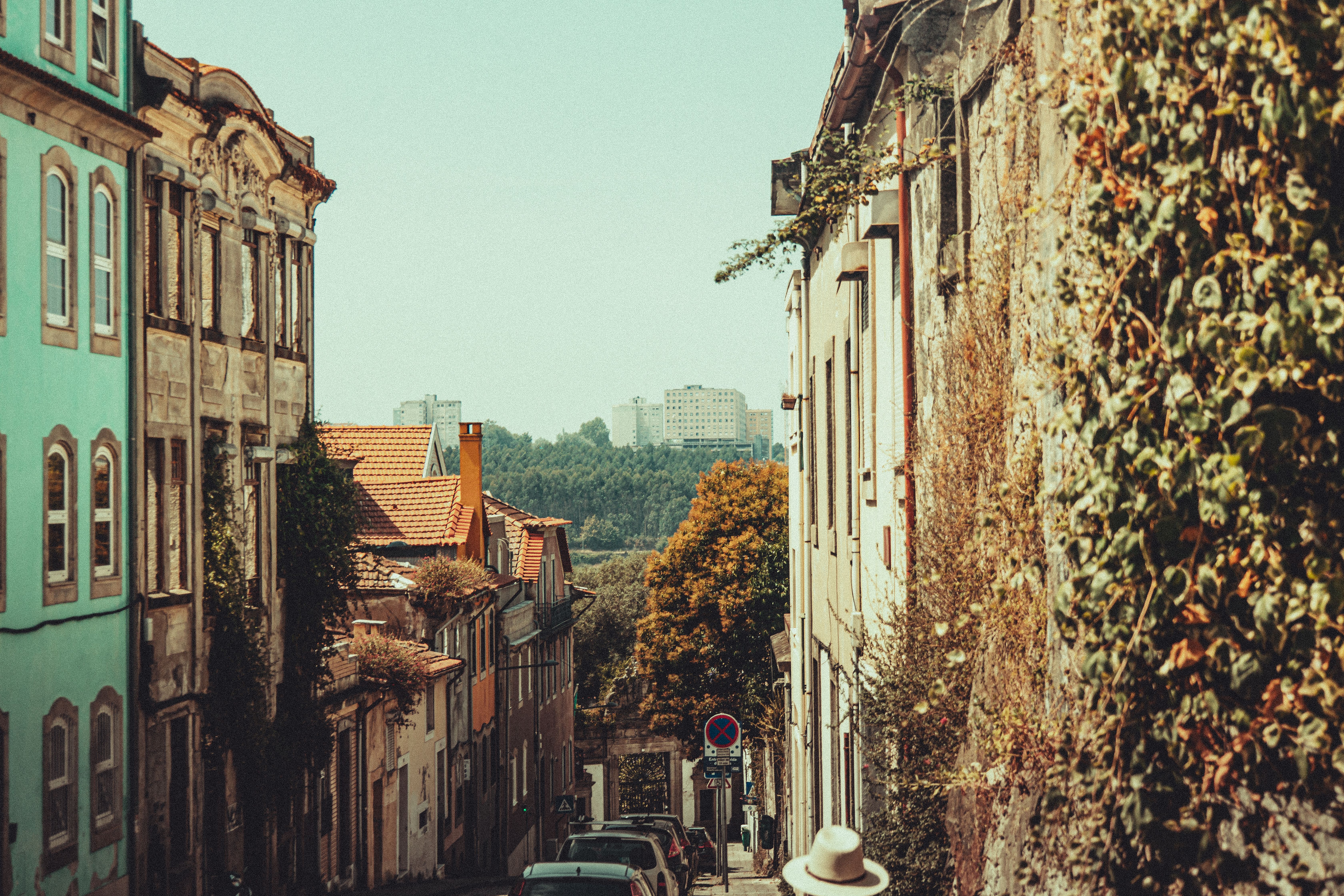 Narrow European street lined with historic buildings and lush greenery.