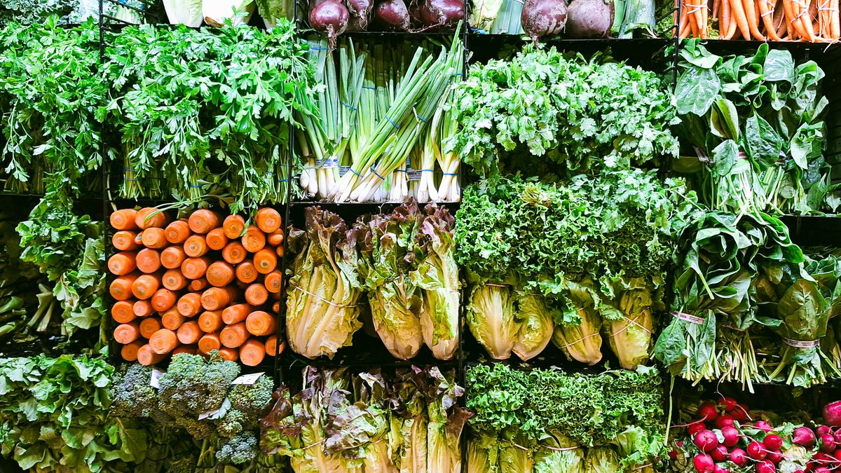 Calendrier de semis de légumes de printemps en août - illustration