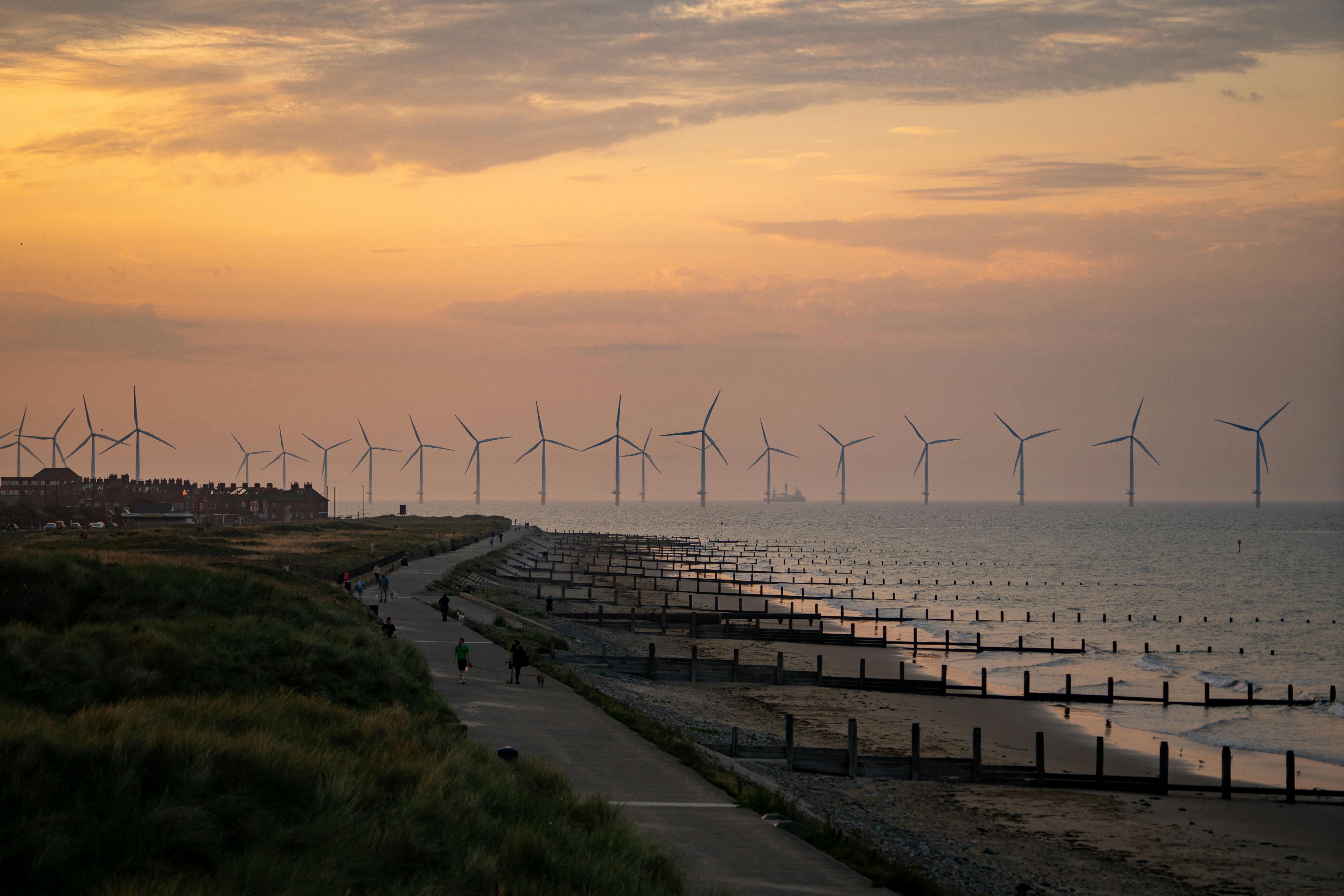 Ocean Carbon Dioxide Absorption and Its Effects