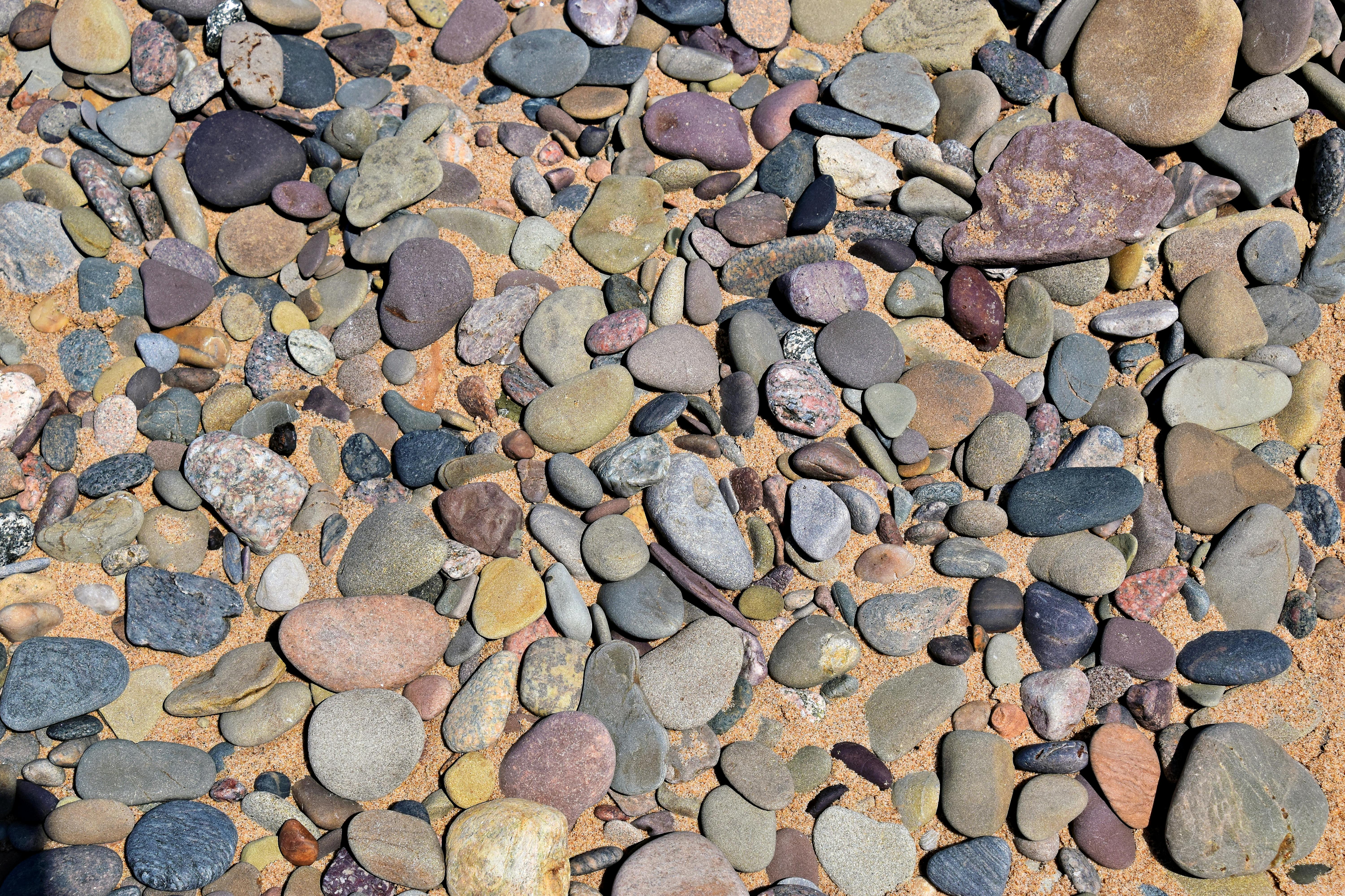 A vibrant collection of pebbles on the beach in Inverness, Nova Scotia.