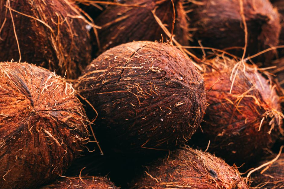Close-up image of fresh coconuts showcasing their textured shells. Taken outdoors in Jos, Nigeria.