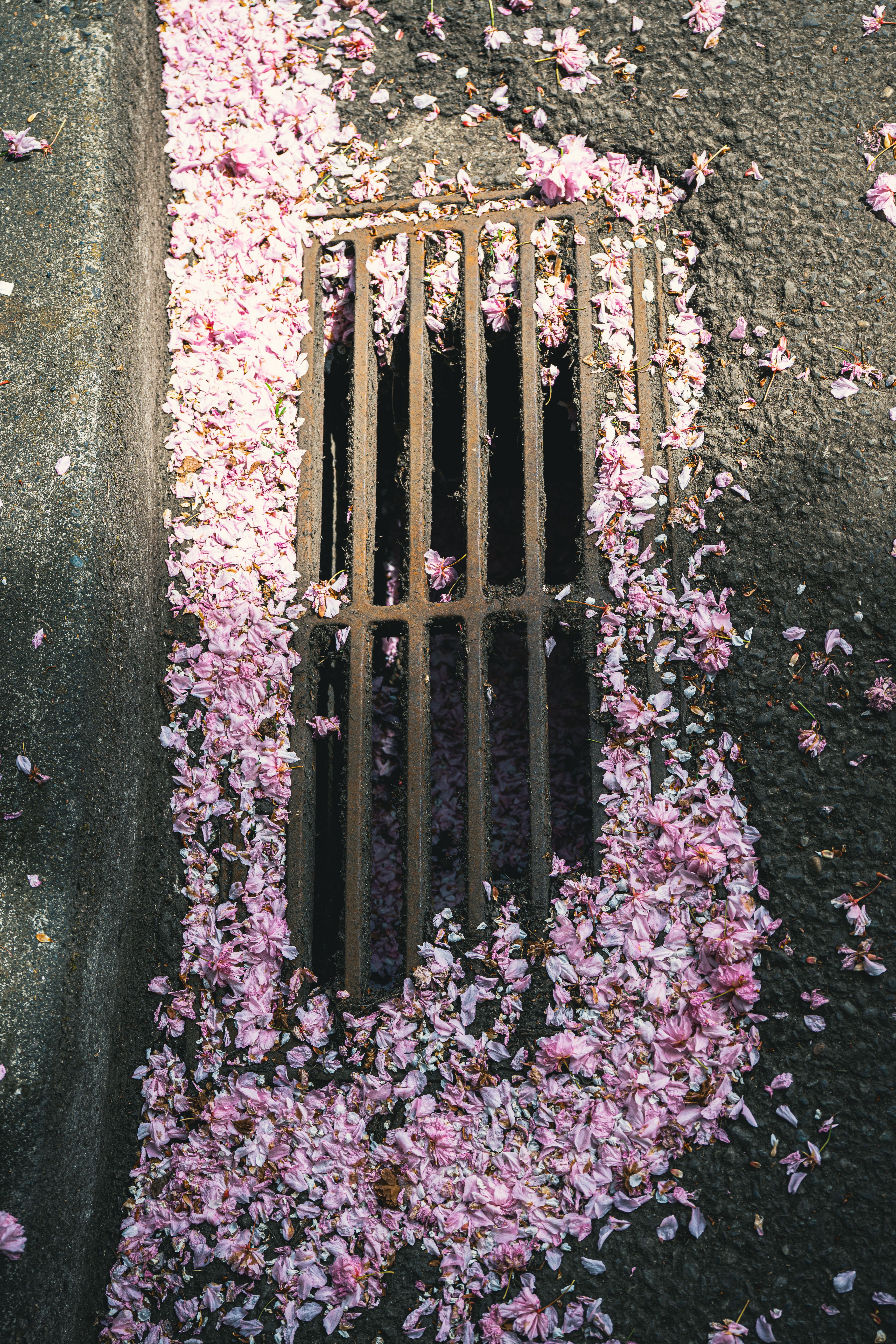 Blocked Pipe Camera Services in Keystone Heights, FL